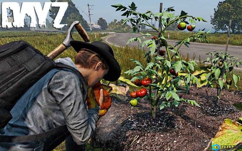 DayZ独立版游戏攻略，全面解析刷新点与高效搜刮地点指南